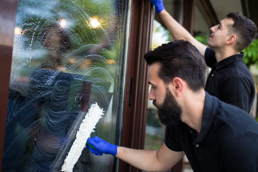 Cleaning Windows
